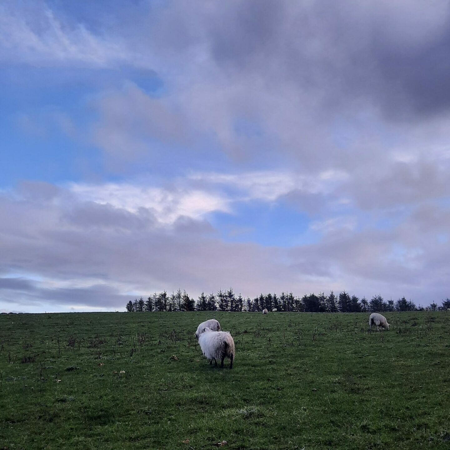 Auslandsjahr Irland - Dublin - Kurzprogramm